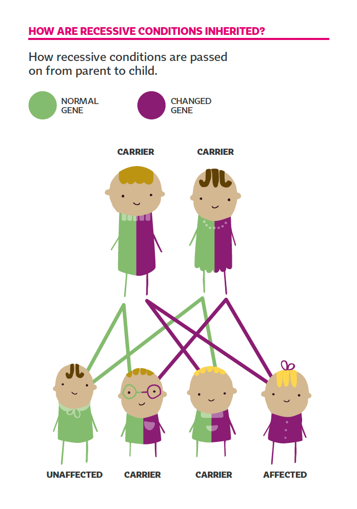 Diagram to show how recessive conditions are inherited