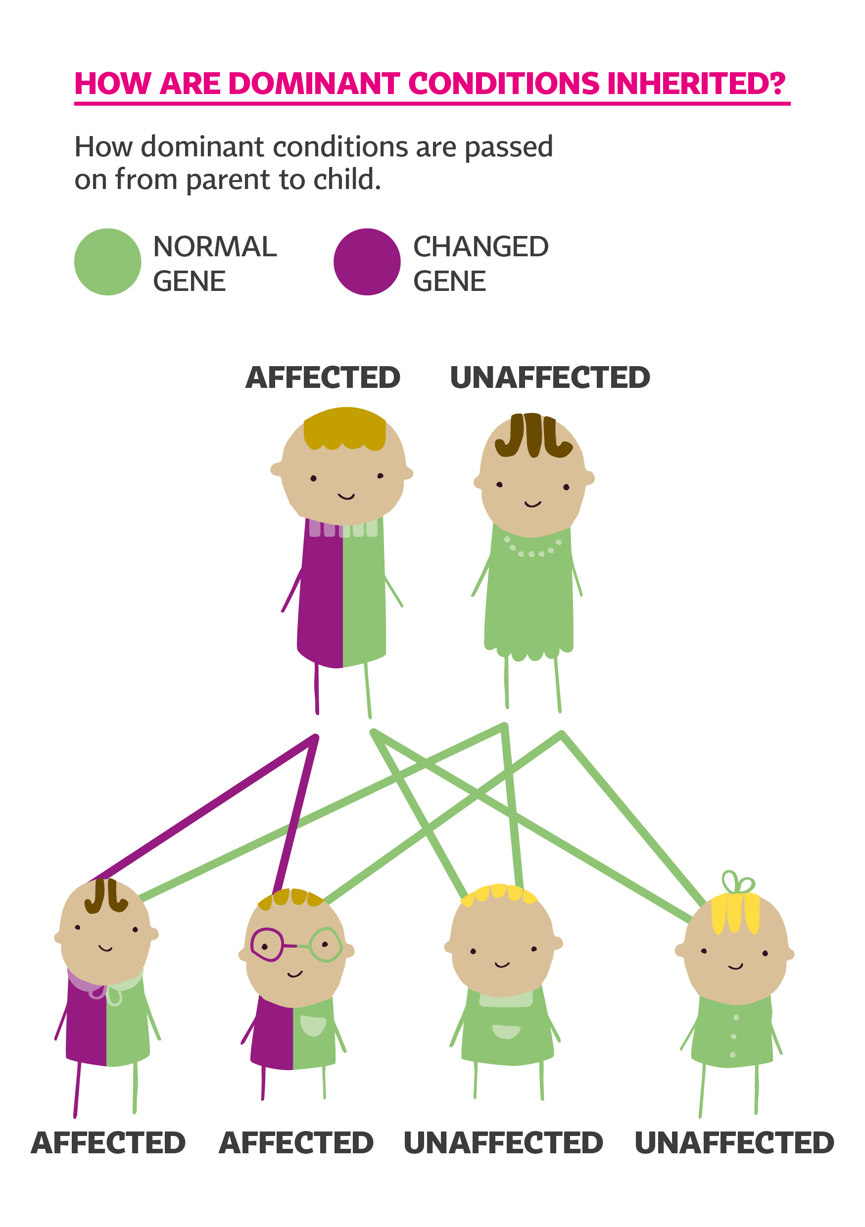 Diagram to show how dominant conditions are inherited