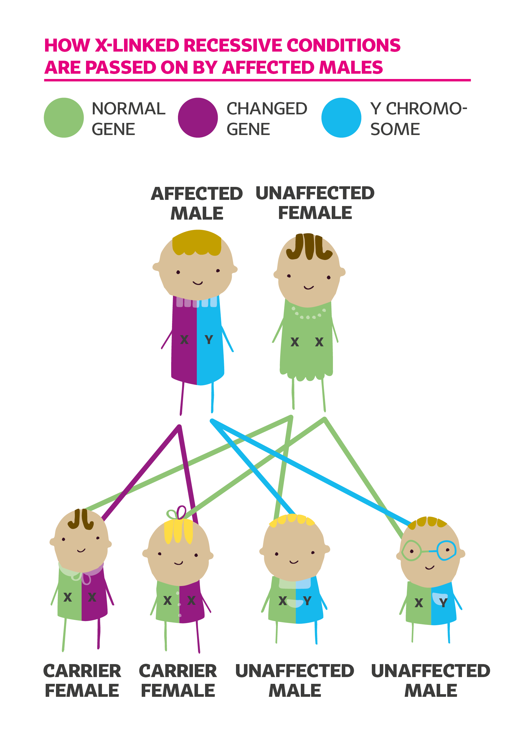 Diagram to show how x-linked conditions are inherited